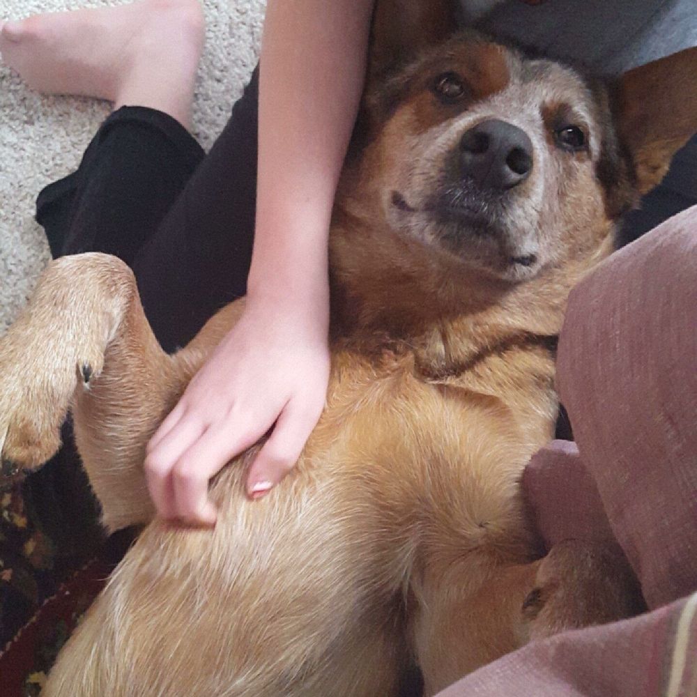 Meet your Posher, Autumn